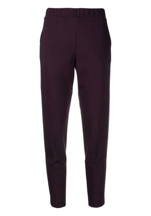Le Tricot Perugia mid-rise tapered trousers - Purple