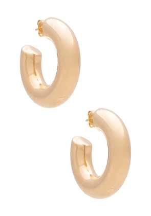Alexa Leigh Allegra Hoop Earrings in Metallic Gold.