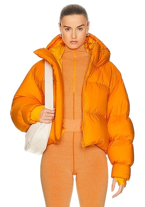 CORDOVA Aomori Jacket in Ember - Tangerine. Size M (also in L).