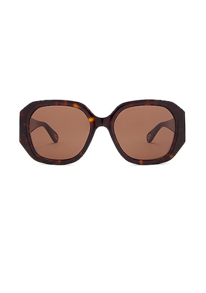 Chloe Marcie Rectangular Sunglasses in Havana & Brown - Brown. Size all.