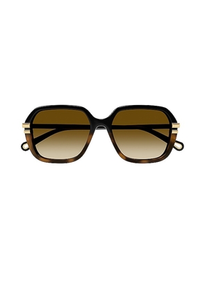 Chloe West Square Sunglasses in Brown.