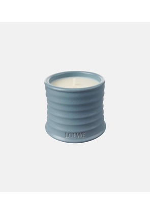 Loewe Home Scents Cypress Balls Small scented candle