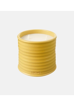 Loewe Home Scents Honeysuckle Medium candle