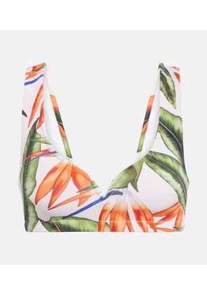 Alexandra Miro Kamala printed bikini top