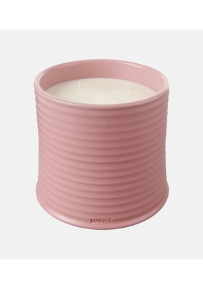 Loewe Home Scents Ivy Large scented candle