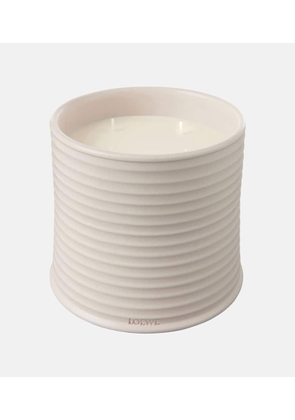 Loewe Home Scents Oregano Large scented candle