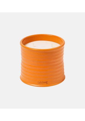 Loewe Home Scents Orange Blossom Medium scented candle