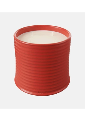 Loewe Home Scents Tomato Leaves Large scented candle