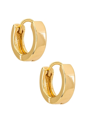 Natalie B Jewelry Marga Huggy Hoop Earring in Metallic Gold.