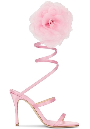 Magda Butrym Spiral Sandal in Pink - Pink. Size 36 (also in 38, 41).
