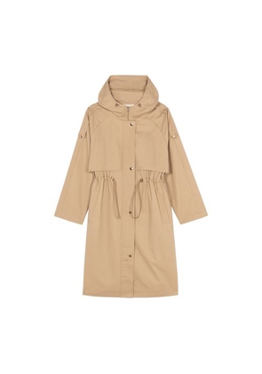 Ted Trench