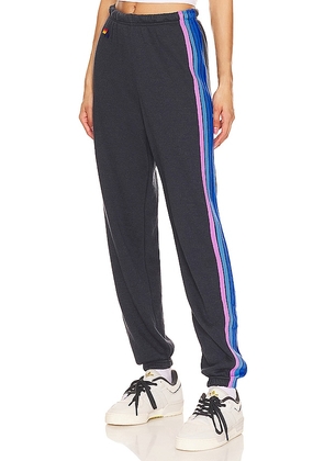 Aviator Nation 5 Stripe Sweatpant in Charcoal. Size L, M, S.