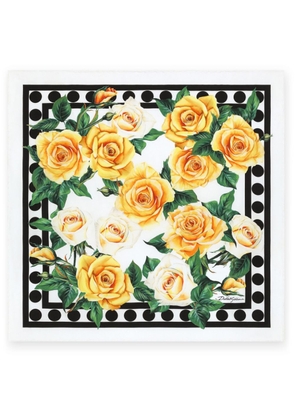 Dolce & Gabbana rose-print silk scarf - White
