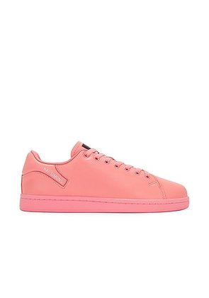 Raf Simons Orion in Strawberry Ice - Coral. Size 40 (also in ).