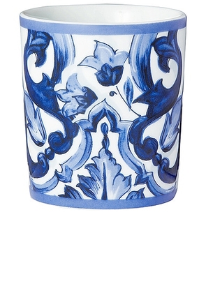 Dolce & Gabbana Casa Mediterraneo Foglie Wine Glass in Blue & White - Blue. Size all.
