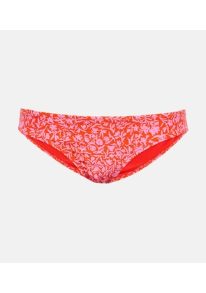 Heidi Klein Limpopo floral bikini bottoms
