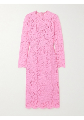 Dolce & Gabbana - Lace Midi Dress - Pink - IT36,IT38,IT40,IT42,IT44,IT46,IT48,IT50