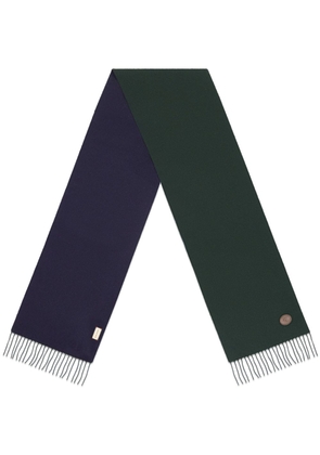 Gucci two-tone reversible cashmere scarf - Green