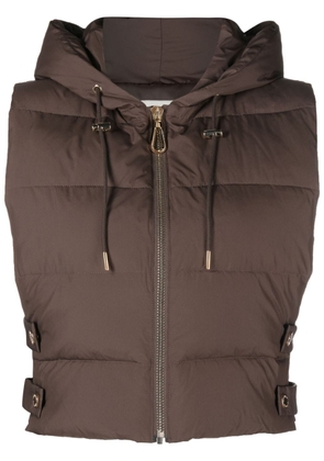 SANDRO cropped hooded padded gilet - Brown