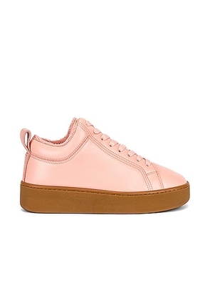 Bottega Veneta The Quilt Sneakers in Peachy & Rubber Band - Peach. Size 36 (also in 36.5, 37, 37.5, 38, 38.5, 39, 39.5, 40, 41).