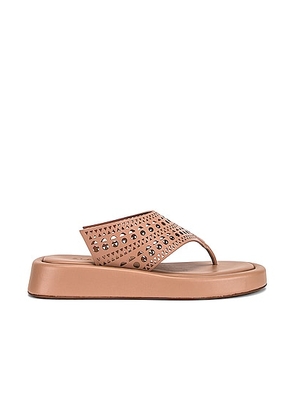 ALAÏA Vienne Thong Platform Sandals in Chair - Mauve. Size 39 (also in 40, 41).