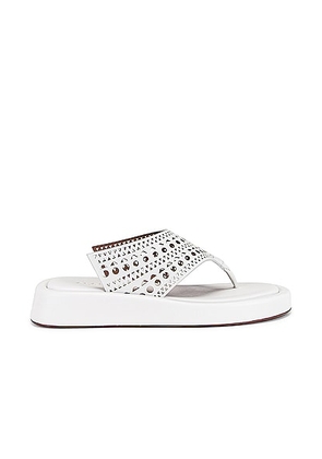 ALAÏA Vienne Thong Platform Sandals in Blanc Casse - White. Size 38 (also in 39, 40, 41).
