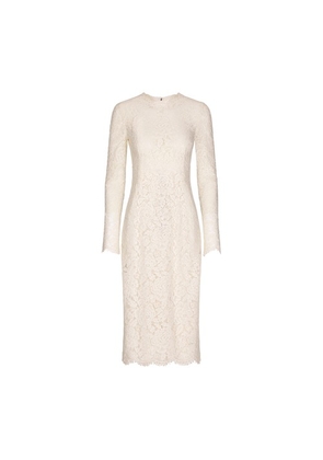 Long-sleeved stretch lace dress