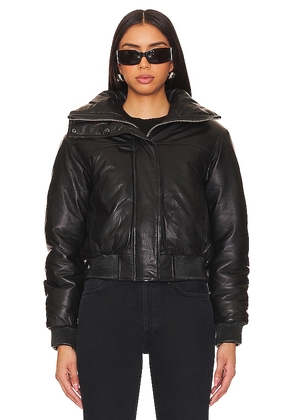 ALLSAINTS Sloane Padded Leather Jacket in Black. Size 2, 4, 6, 8.