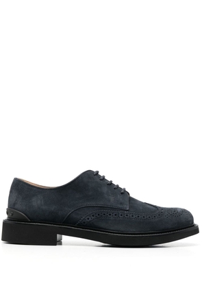 Tod's lace-up suede brogues - Blue