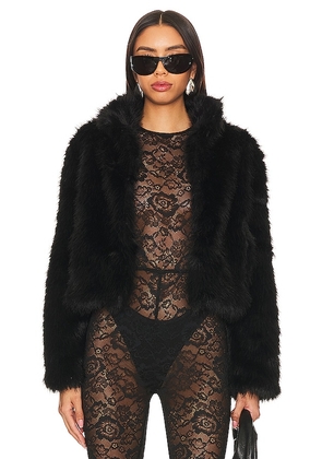 Adrienne Landau Faux Fox Fur Jacket in Black. Size L.