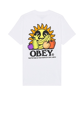 Obey The Future Is The Fruits Of Our Labor Tee in White. Size M, S, XL/1X.