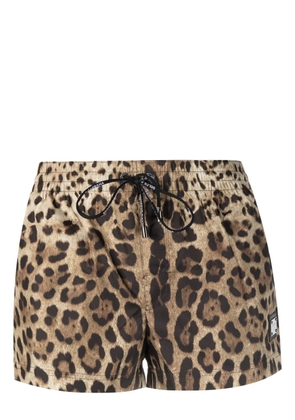 Dolce & Gabbana leopard-print mini shorts - Black