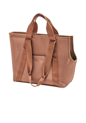 Wild One Everyday Carrier in Brown.