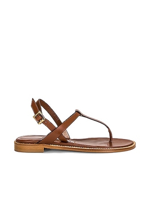 Manolo Blahnik Leather Hata 10 Sandal in Brown - Brown. Size 36 (also in 37, 37.5, 38, 39, 41).