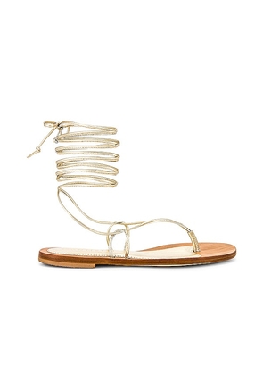 CoRNETTI Lola Lace Up Sandal in Metallic Gold. Size 37, 38, 39, 40.
