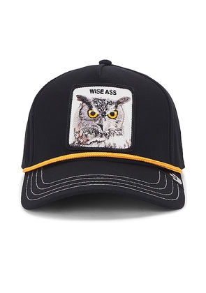 Goorin Brothers Wise Owl Hat in Black.
