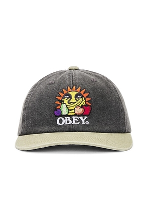 Obey Pigment Fruits 6 Panel Snapback in Black.