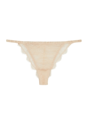 Love Stories Charlotte Lace Thong - Cream
