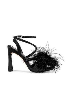 Sam Edelman Layton Sandal in Black. Size 6.5, 7, 7.5, 8, 8.5.