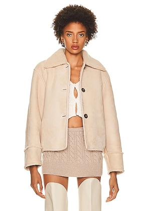 Loulou Studio Vika Shearling Jacket in Vanilla - Ivory. Size L (also in ).