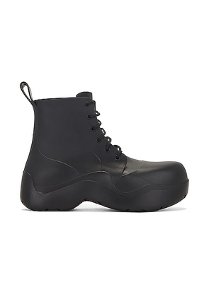 Bottega Veneta Puddle Lace-Up Ankle Boot in Black - Black. Size 40 (also in 41, 42, 43, 44).