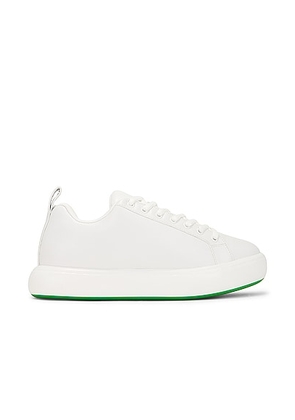 Bottega Veneta Lace Up Sneaker in Optic White & Parakeet - White. Size 42 (also in 44, 45).