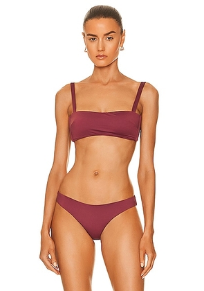 ASCENO The Portofino Bikini Top in Burgundy - Burgundy. Size XS (also in ).