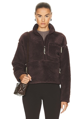 The North Face Extreme Pile Sherpa Fleece Pullover in Coal Brown - Brown. Size L (also in ).