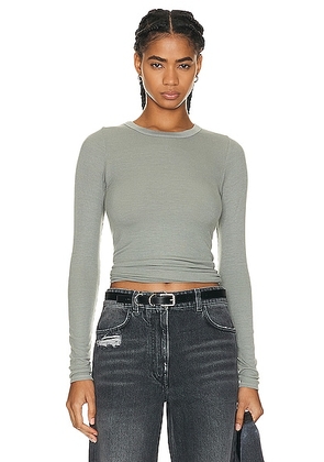 Enza Costa Silk Knit Long Sleeve Crewneck Top in Alpine Frost - Sage. Size XL (also in ).