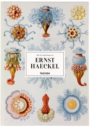 TASCHEN The Art and Science of Ernst Haeckel, XXL