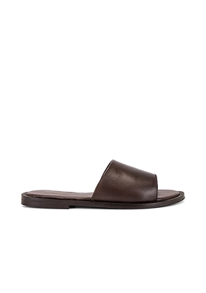 Seychelles Orchid Sandal in Brown. Size 6, 6.5, 9.