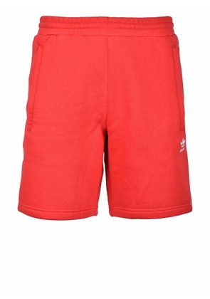 Men's Red Bermuda Shorts