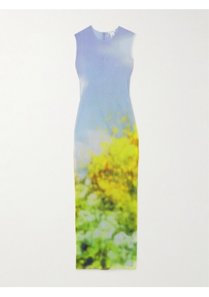 Acne Studios - Printed Mesh Maxi Dress - Multi - xx small,x small,small,medium,large