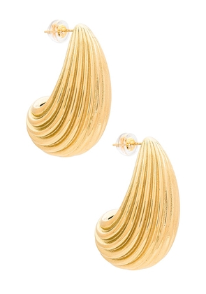 Amber Sceats Ribbed Hoop Earring in Metallic Gold.